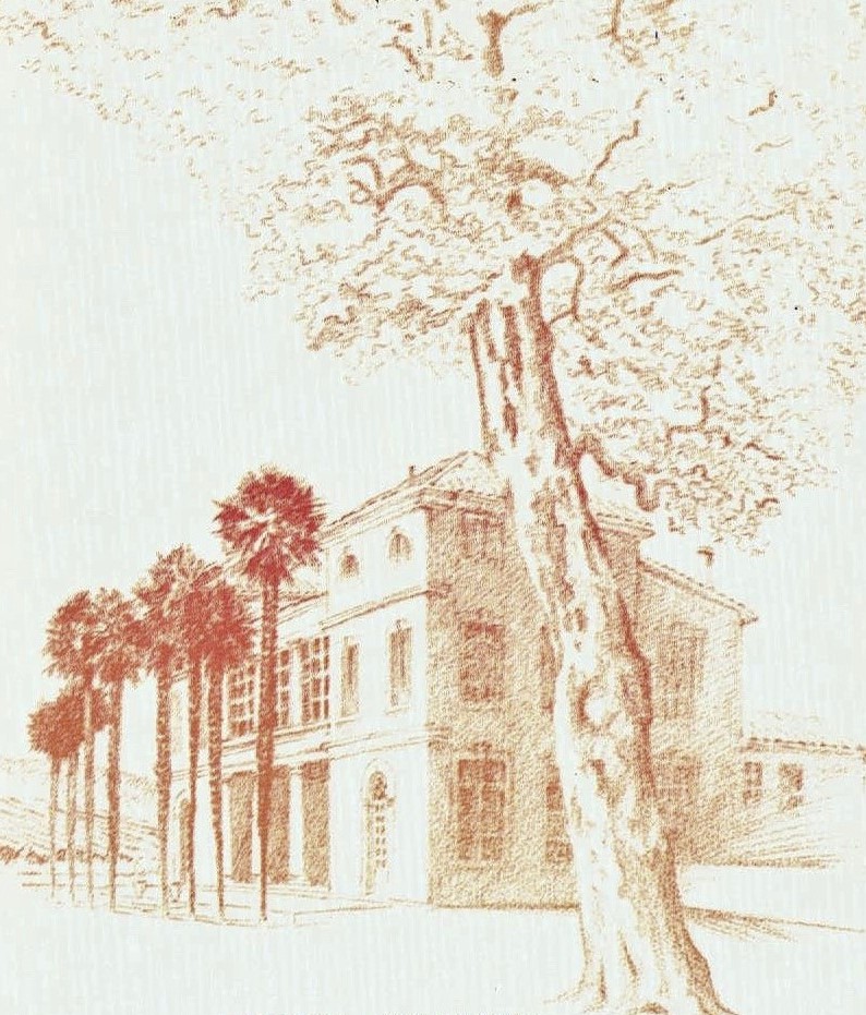 HOTEL - Architecture photo2