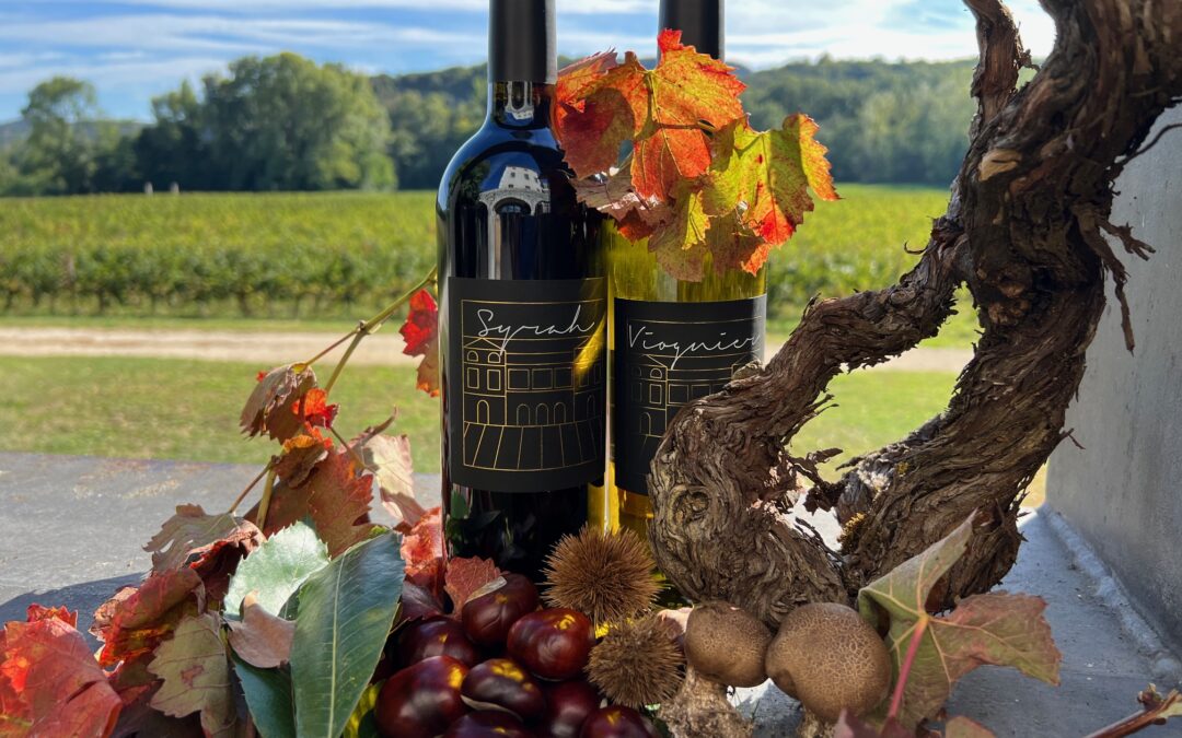 Le Temps des Vendanges