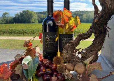 Le Temps des Vendanges